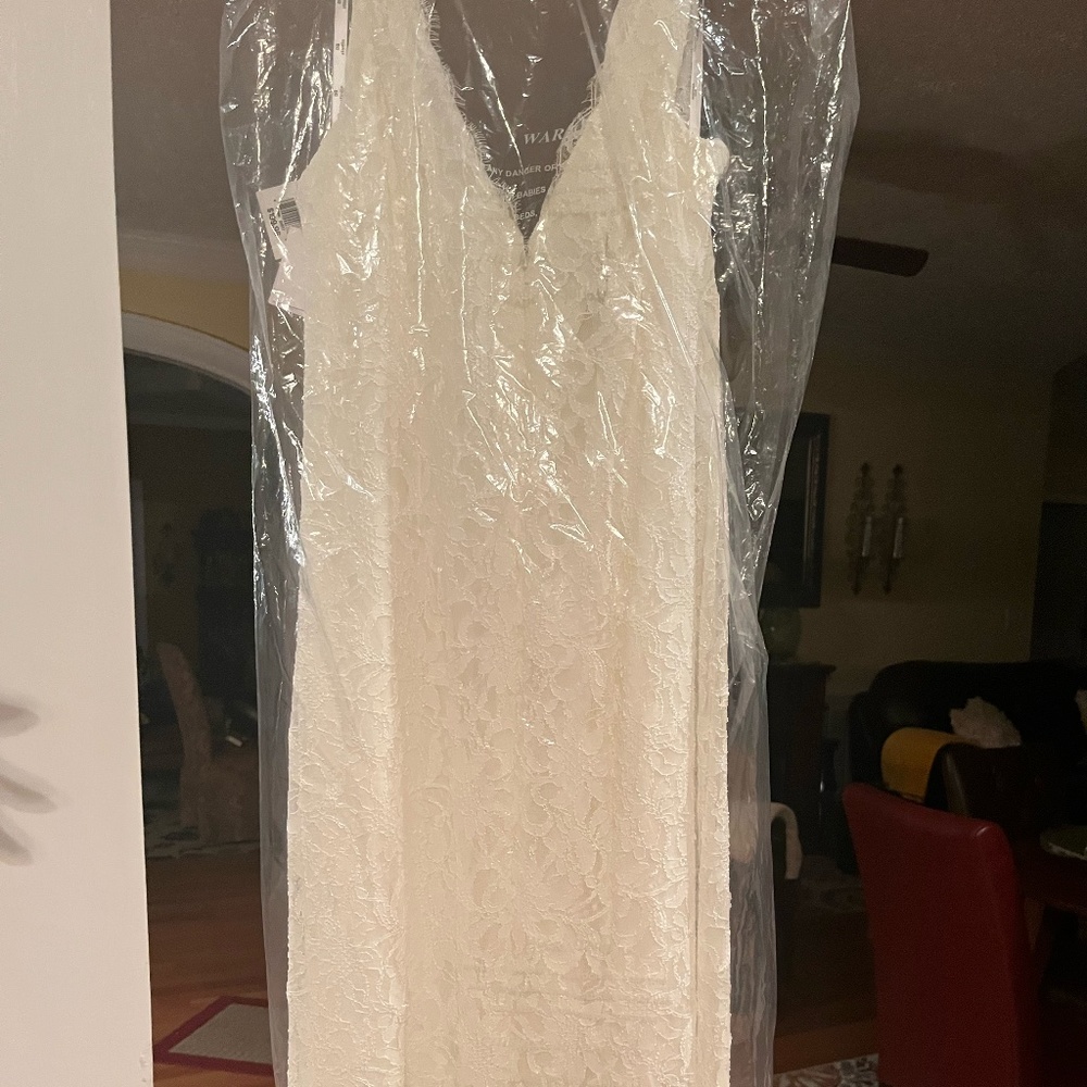 Wedding Dress (Maid of Honor, Mother of Bride, or Formal Event--David's Bridal)